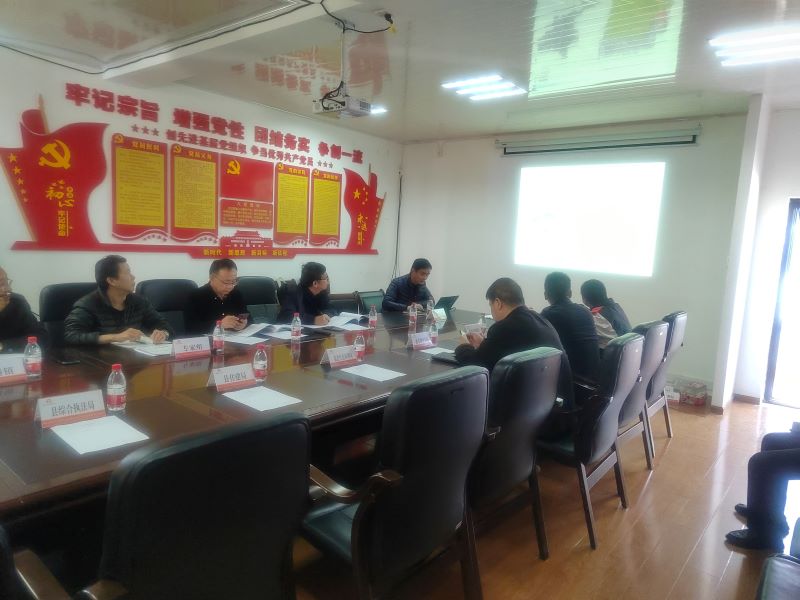 �α�����㱨��