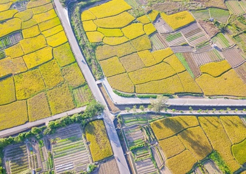 ��ɽ��̨ũ������ı���Խ����õ���������