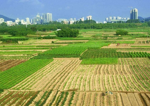 ����ʡ���óͷ���������17.81��Ķ&nbsp;&nbsp;�ջ���������µ�һ