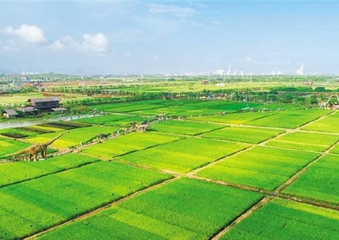 ���϶��ж�����Դ����������ָ��