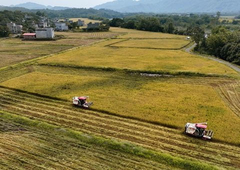 ���Ǹ���ʩչ�������ۺ�����+��ЧӦ&nbsp;&nbsp;�����������˻���