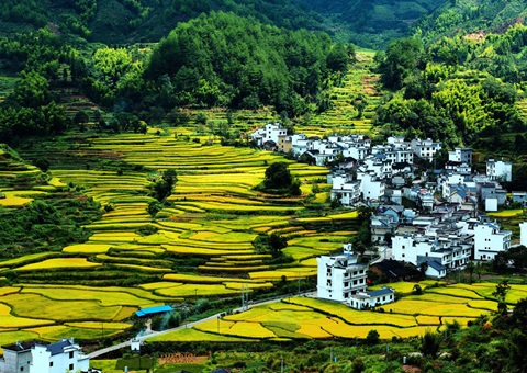 �����й��������ı���Խ����õ������Ե�˳�����