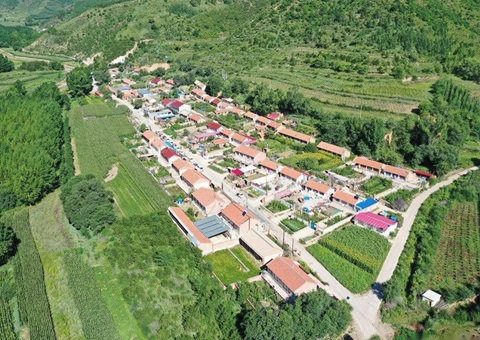 �ӱ��������������Ȩ�Һ�Ч������Ӧ��