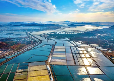 ��������������ƽ���������̬�޸�ȡ�á���̬+���+���á�����Ч�永��