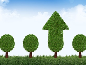 �����Ӳ�����