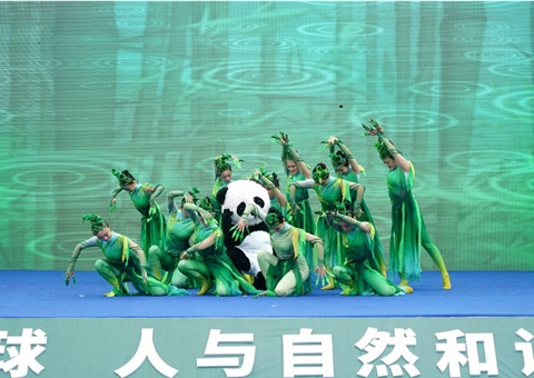 �Ĵ�ʡ��55�������µ����ա�����������������ʽ���Ű�����