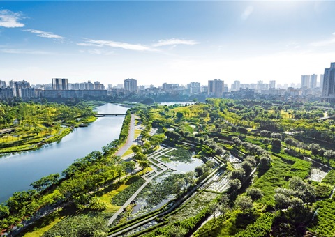 ������̨�����ռ���̬�޸���Ŀ��������