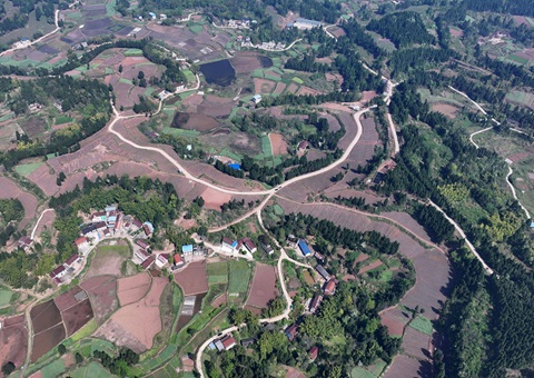 �ڽ��ж���������ȫ���ø��ر��� ȫ�������õذ���