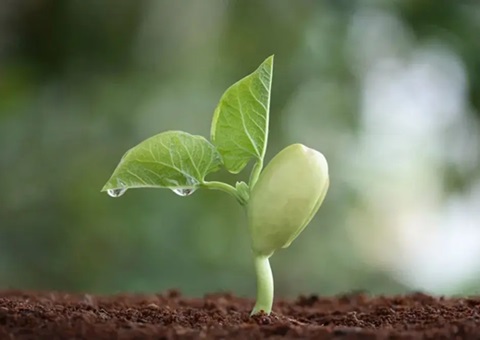 �Ĵ�ʡ���������޳ɸ��У��ݣ����ص��ϸ�����������⳥��׼