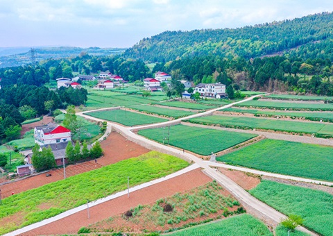 ��Ԫ�����С������ﳤ���Ƽ�������׼��������