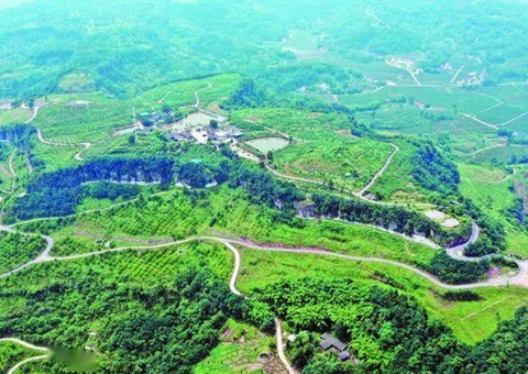 �㰲�������ۺ�����Ϊ�������ˡ����Ρ�