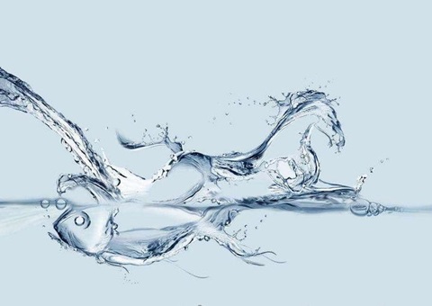 ����ʡʵ�������׸�Һ�����Ȼ��ԴȷȨ�Һ�