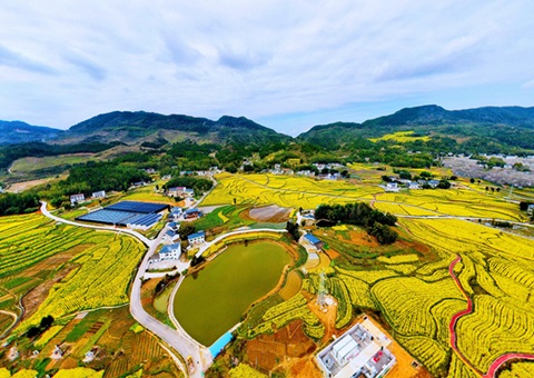 Ͷ�ʳ�ǧ�� &nbsp;&nbsp; �㶫ȫ�������ۺ�����ʵ�֡����þ֡� 