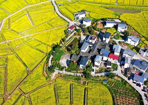 205.7��Ԫ��&nbsp;&nbsp;�Ĵ������´�2025���ν��ƽ��������˽����ʽ�