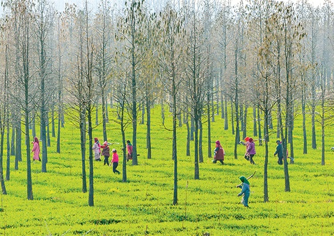 ���ճ�̨���¾��ø�������������ʮ����