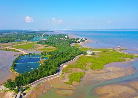 �����������ϣ����������������塰���䡱