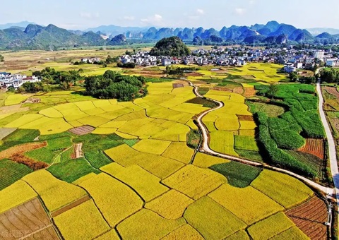 ǿ����ָ�Ӱ�������&nbsp;&nbsp;�����з���500��Ԫ���ر��������������