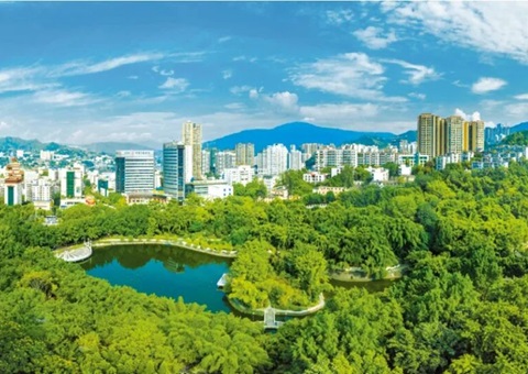 ��֦��������������õ�������������