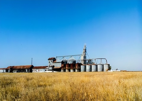 �Ĵ�ʡ�ڽ��������ض������ƽ����츮ɭ�����⽨��