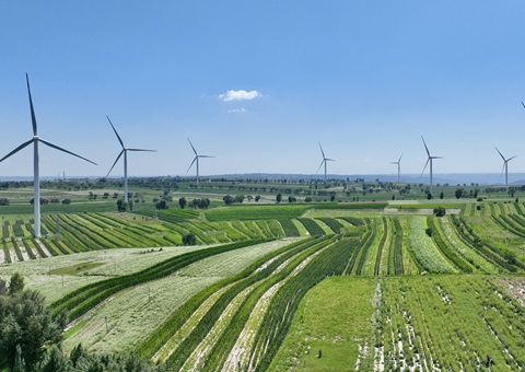 ����ʡ�����ж����أ������ռ����롰һ��ͼ��ʵ��Ӫҵ��һվʽ����Ч����