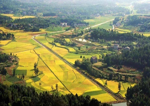 �Ĵ�ʡ��Ԫ�о�������벢���̻�ϵͳ��������Ϊ����ע���¶���