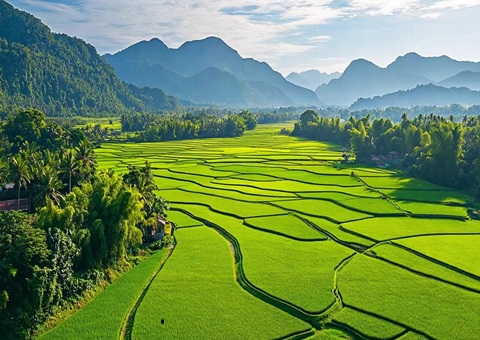 ����Ȼ��Դ+˰��Эͬ���Σ��������θ��ر�����˰�ա�˫���ء�