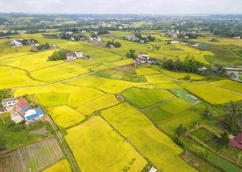 �Ĵ�ʡ�����оֶ��ж���ǿ��ʱ�õ���������������