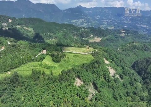 �Ĵ����ڷ��������ƽ�ɽ�ֱ�������