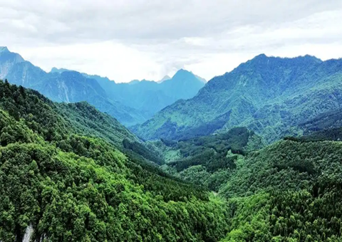 �Ĵ��Ű������衰�츮ɭ���Ŀ⡱ �ƽ����¾�������