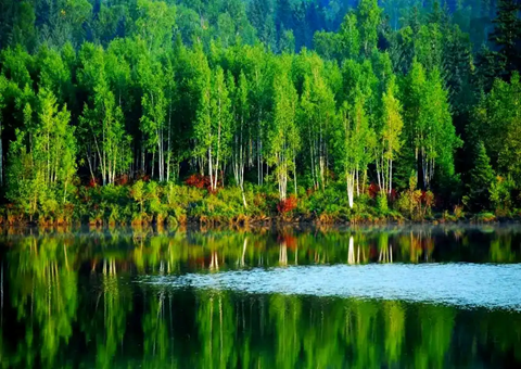 ������������Ϊ���˹�ҵ��ʳΪý������