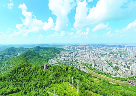 �Ĵ��ϳ���������조�츮ɭ���Ŀ⡱��������