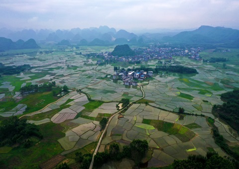 �ذ��ͷţ�������29�ڽ���ؿ鼯���ƽ����Ͷ�����̻�