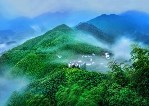 �㽭��Ȫ�ԡ��������ں��ƶ�ɭ�֡��Ŀ⡱����