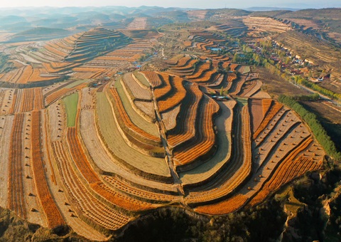 ����16.52��Ԫ���ش���ר��ծȯ��Ŀ����