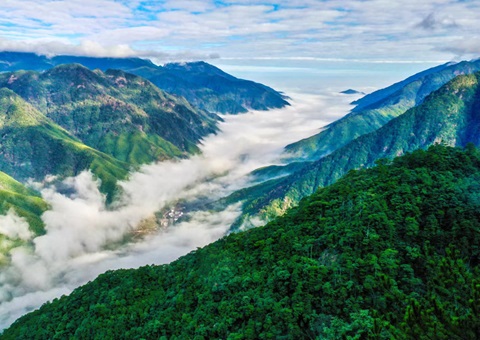 ����ϰ�������ͨ��̬��Ʒ��ֵת��