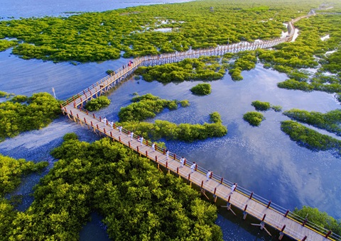 �����д����Ȼ��ԴҪ�ذ��ܡ����ȭ��  ��׼����������ȫ����