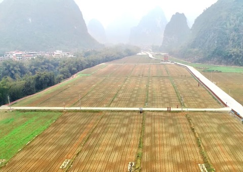 ��������300��Ԫȫ�������ۺ����ν����Խ�������   �ƶ�����Ч�����������ٽ������