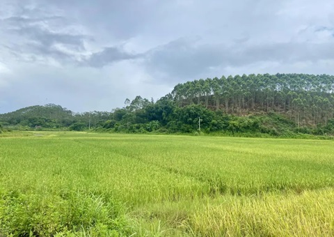 �μ�ر䡰�۱��衱 &nbsp;&nbsp;���Ǹ��п�������Ҫ������·��