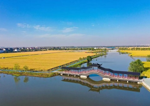 ���������&nbsp;&nbsp;���ս��ɸ߱�׼ũ�����4401��Ķ