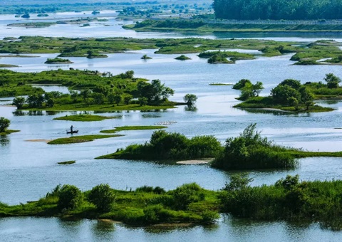 ������̬��ƷĿ¼���� ��ȫ������̬��Ʒ��Դ