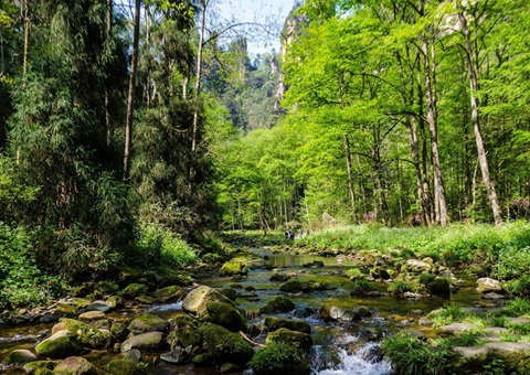 ������ʽǩ������������̼Ʊ�� 