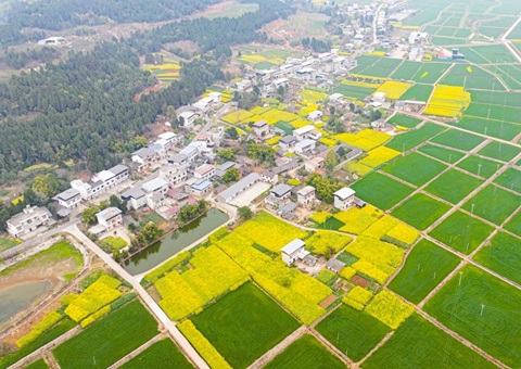 �Ĵ�ʡί�칫����ʡ�����칫��ӡ���������ũ������Ҫ���г���ˢ�µ������