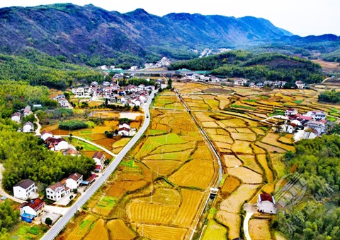 �����Ե���ũ���ü�ֵ����