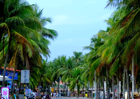 �����������ᡱ�������кΡ�������?