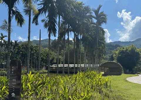 ����̽���������븳�ܣ� �ù�ҵ��������������䡰�Ҹ�����