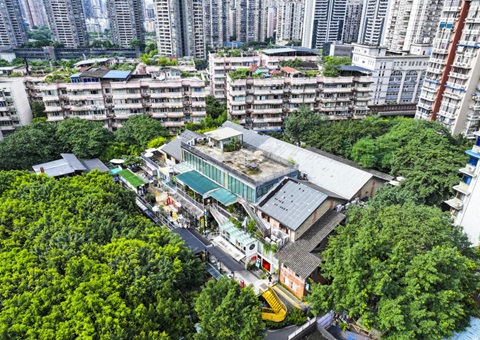 ���춼����¶�ʮ�������������������ƹ�