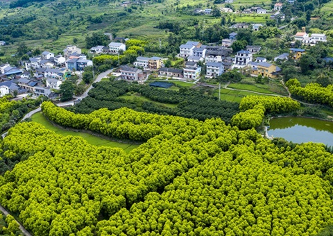 �����������������γɵ���������ʽ����&nbsp;&nbsp;������������ũҵ�ص���8�����й�Ư����������90��