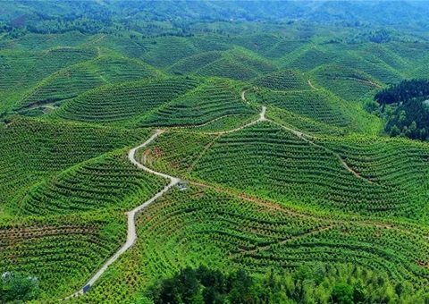 ��������Ȩ���á�������������һ�ش�ˮ