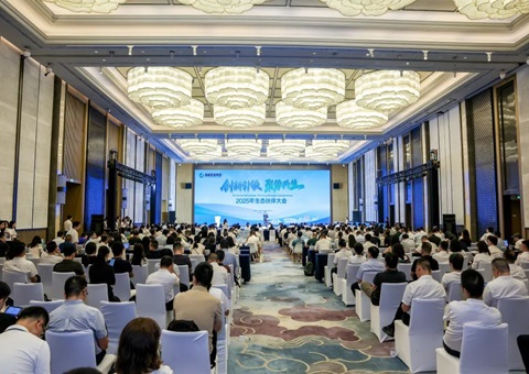 �ɶ�����2025����̬ͬ����