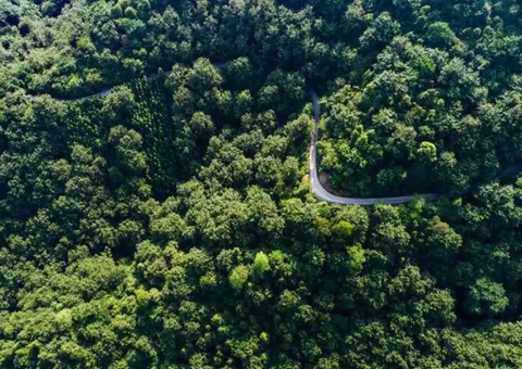 ����ʡ���������ݡ����н����õ�+VEP����Ȼ��Դ�ʲ������Ŀʵ������